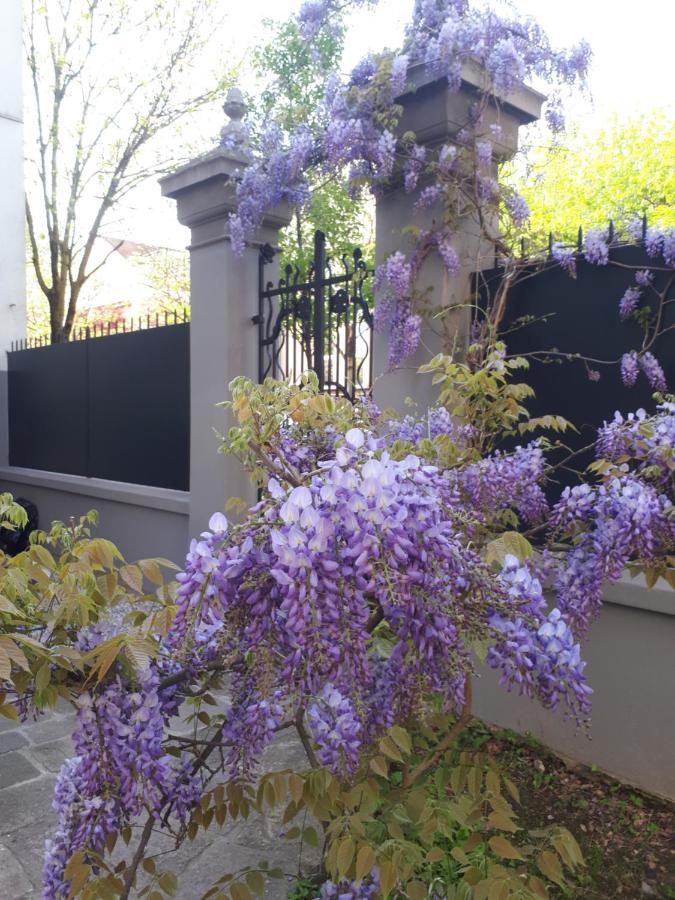 Villa Fiorentino بادوفا المظهر الخارجي الصورة