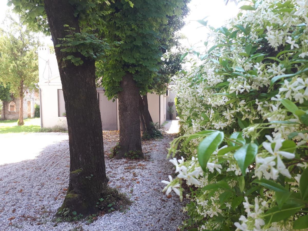 Villa Fiorentino بادوفا المظهر الخارجي الصورة